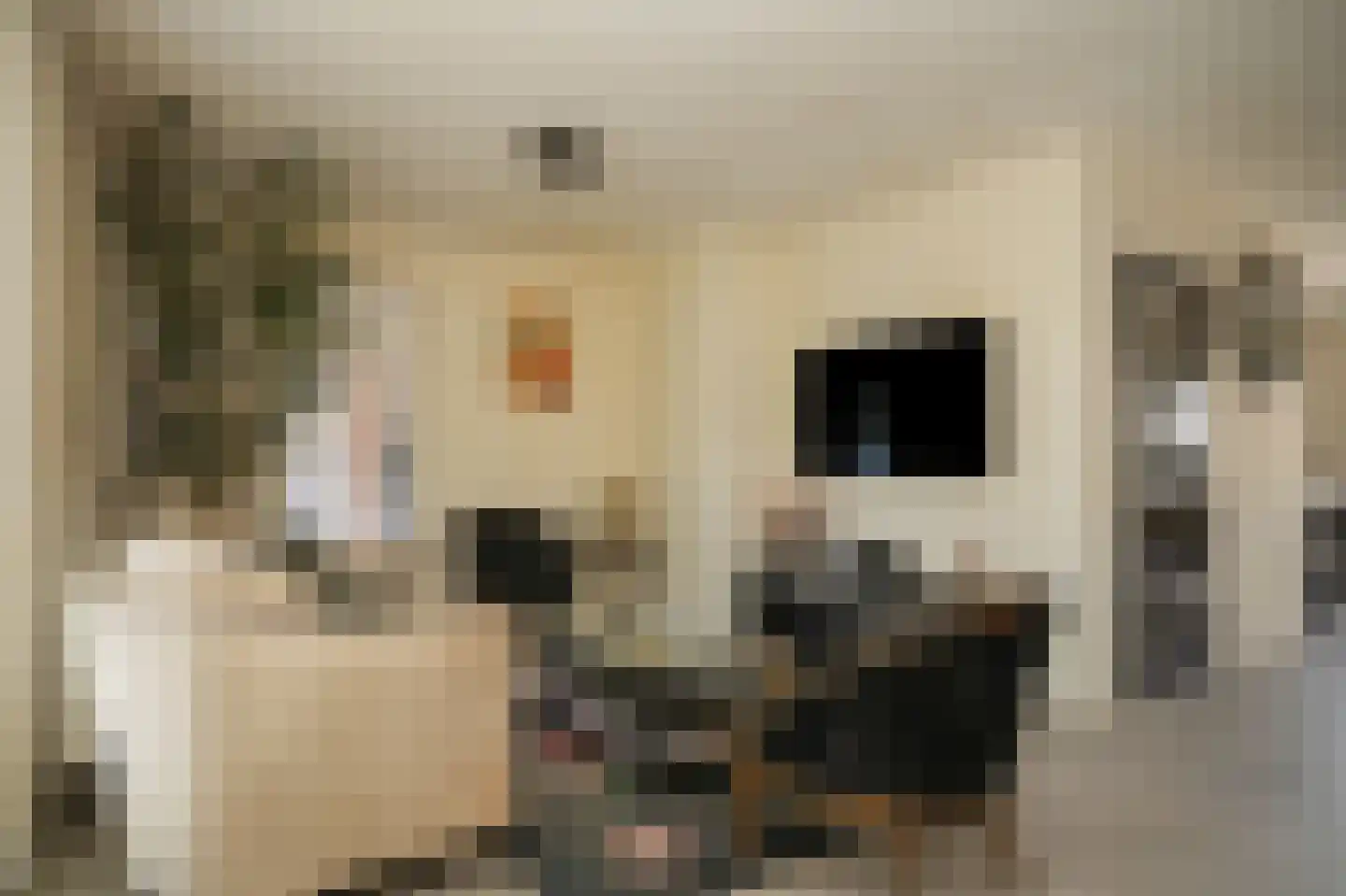 de Bouwing 25 Dreumel thumbnail 8