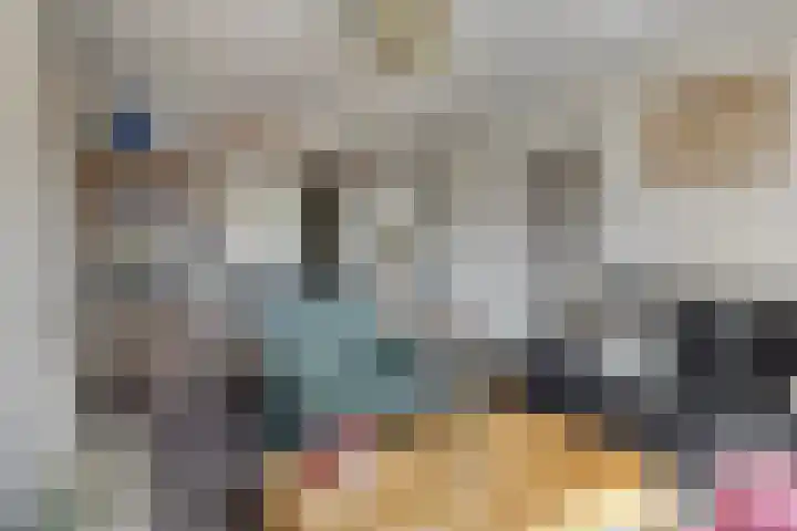De Bouwing 28 Elst thumbnail 12