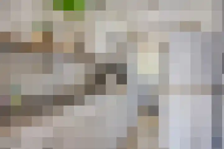 De Bouwing 28 Elst thumbnail 15