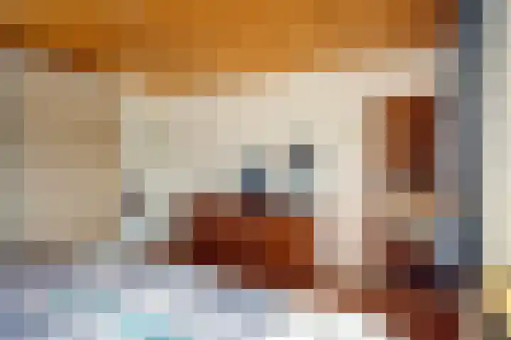 De Bouwing 28 Elst thumbnail 22