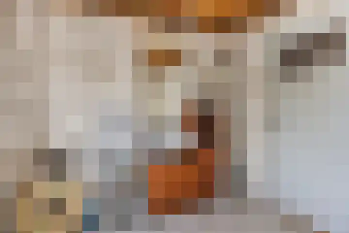 De Bouwing 28 Elst thumbnail 24