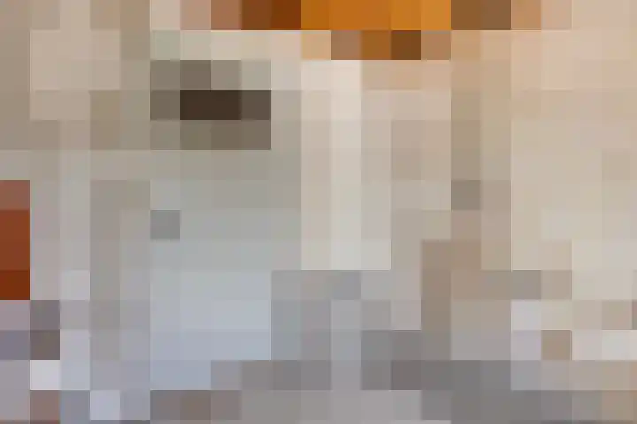 De Bouwing 28 Elst thumbnail 25