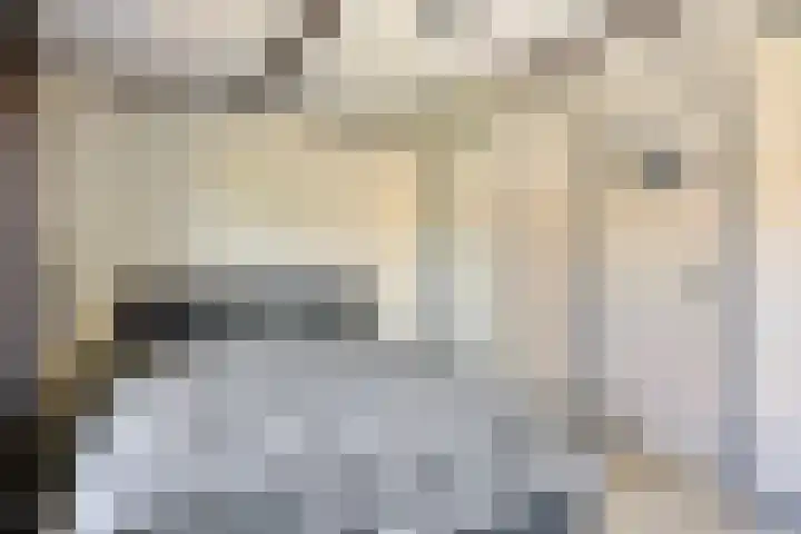 De Bouwing 28 Elst thumbnail 27