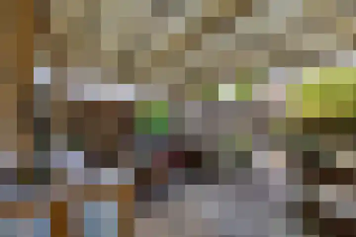 De Bouwing 28 Elst thumbnail 30