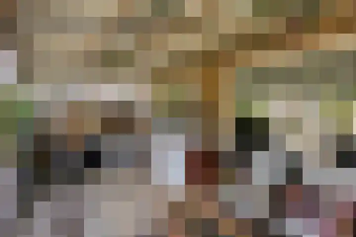 De Bouwing 28 Elst thumbnail 31