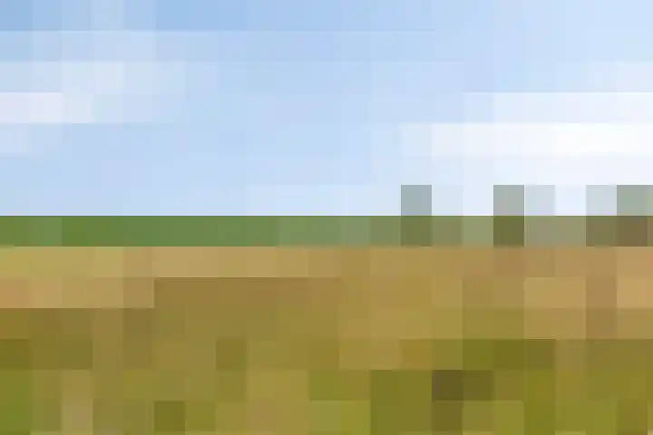 De Bouwing 28 Elst thumbnail 33