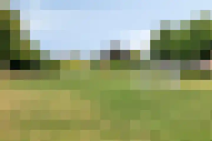 De Bouwing 28 Elst thumbnail 34