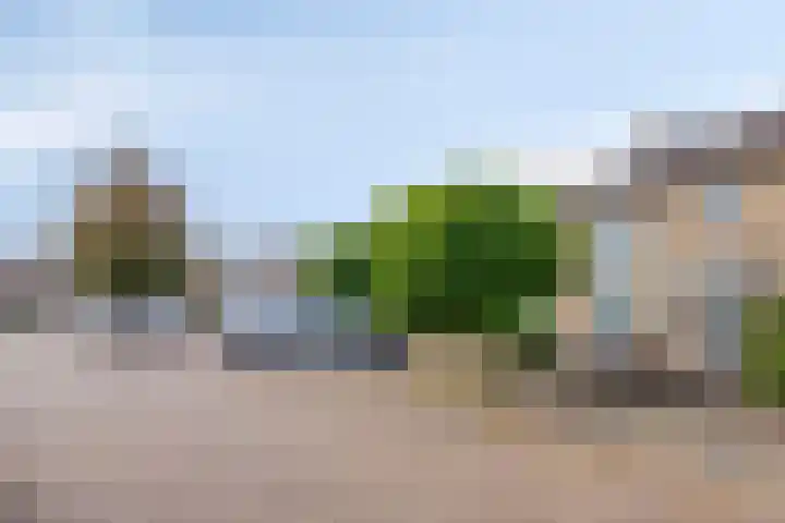 De Bouwing 28 Elst thumbnail 6