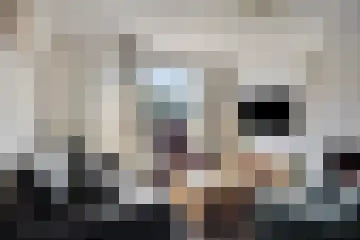 De Bouwing 28 Elst thumbnail 9