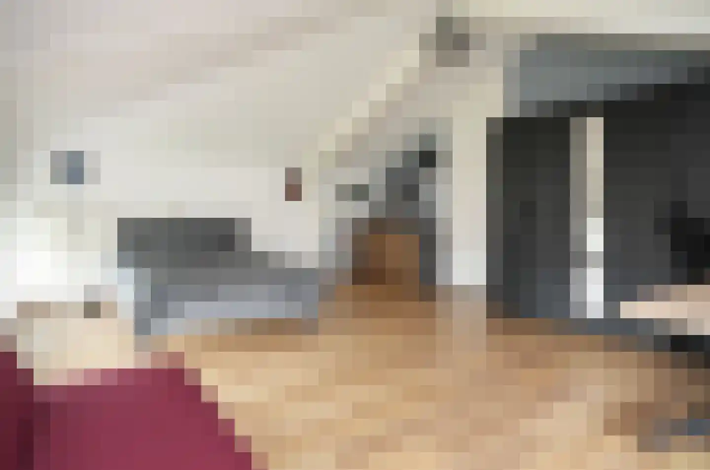 De Bouwing 36 Geldermalsen thumbnail 31