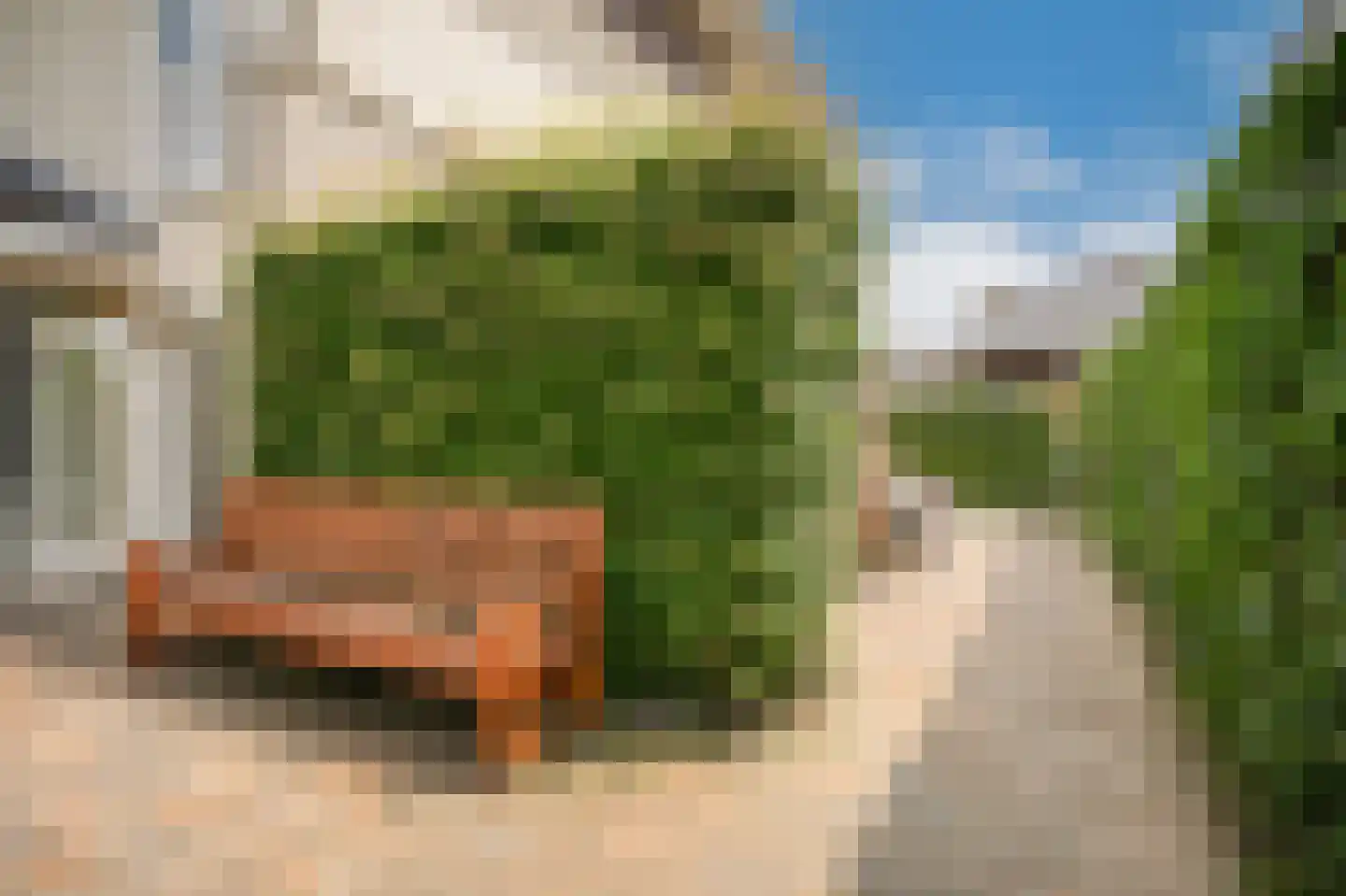 De Bouwing 36 Geldermalsen thumbnail 40