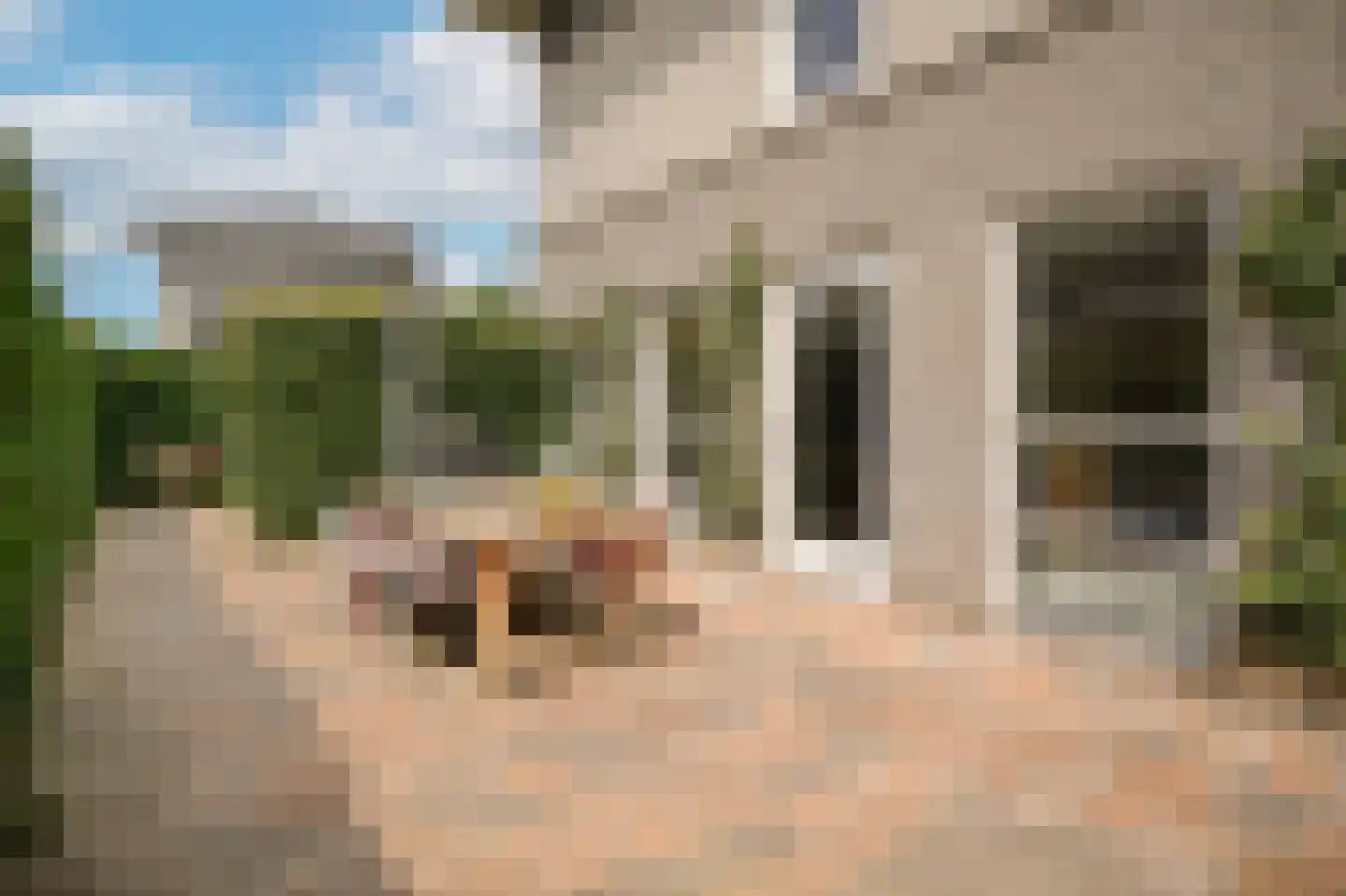 De Bouwing 36 Geldermalsen thumbnail 41