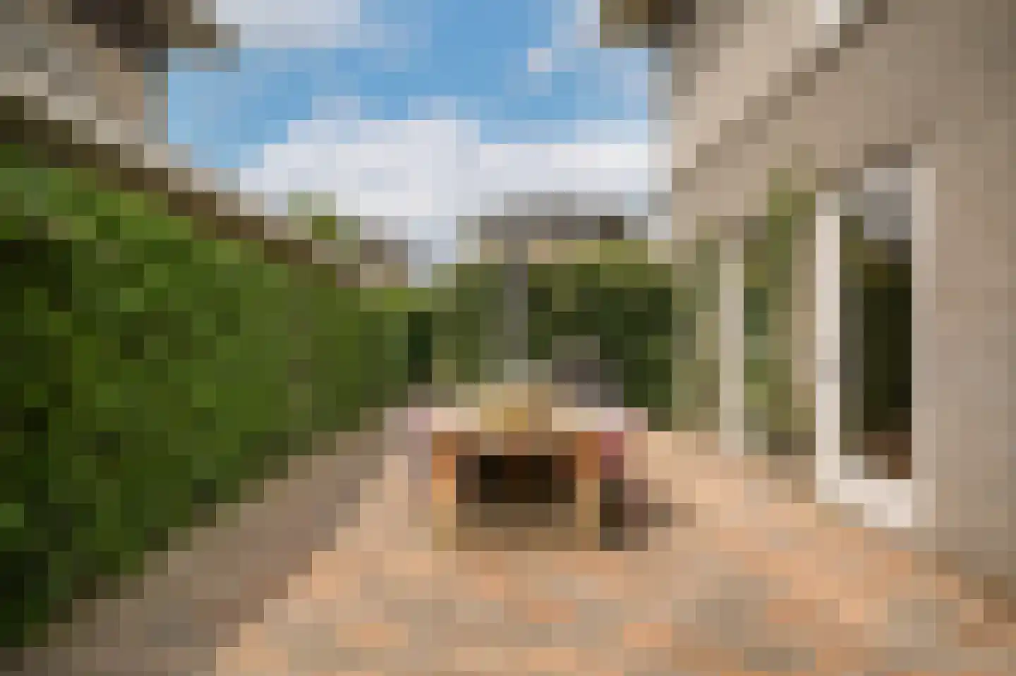 De Bouwing 36 Geldermalsen thumbnail 44