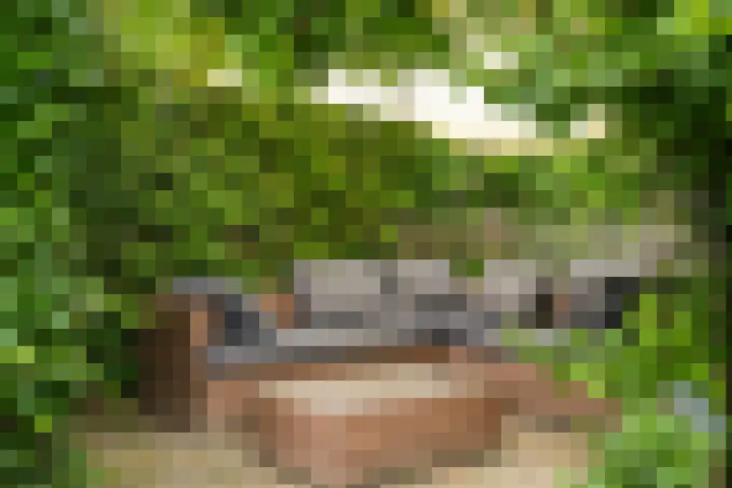 De Bouwing 36 Geldermalsen thumbnail 45