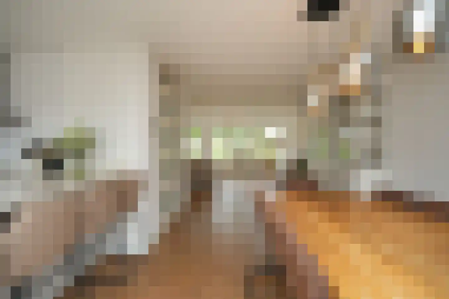 De Bouwing 67 Geldermalsen thumbnail 13