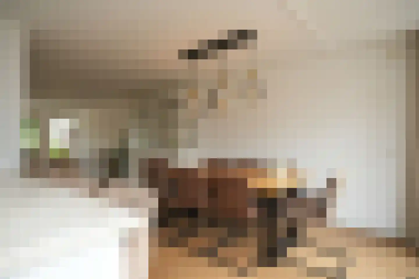 De Bouwing 67 Geldermalsen thumbnail 20