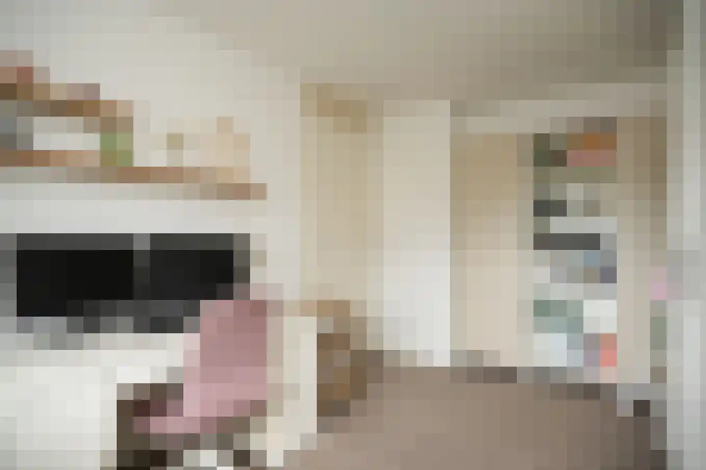 De Bouwing 67 Geldermalsen thumbnail 27