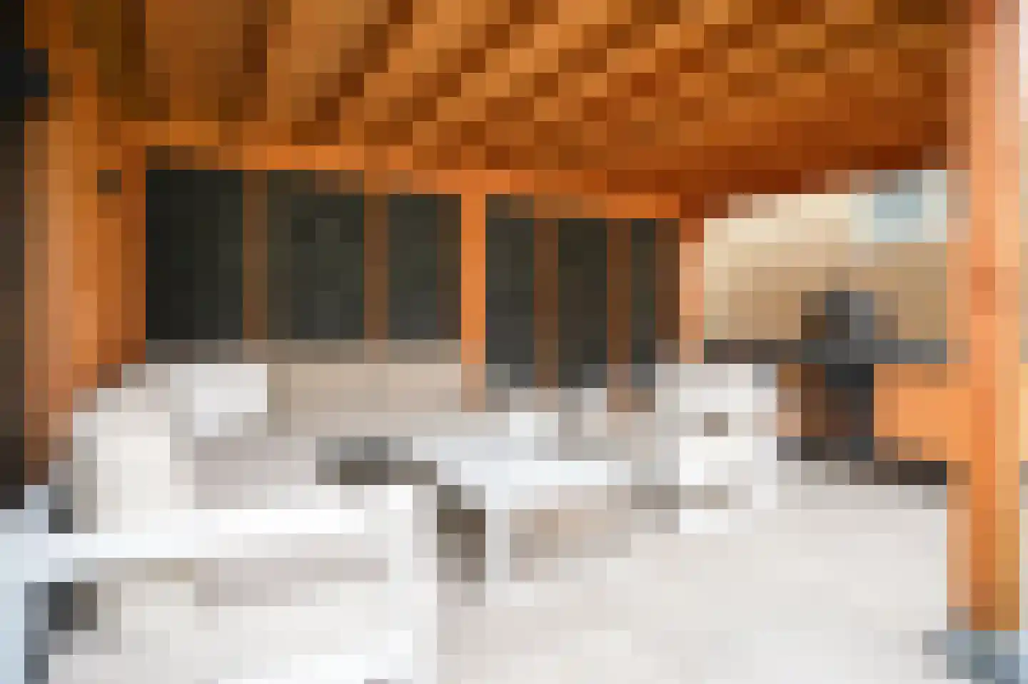 De Bouwing 67 Geldermalsen thumbnail 44