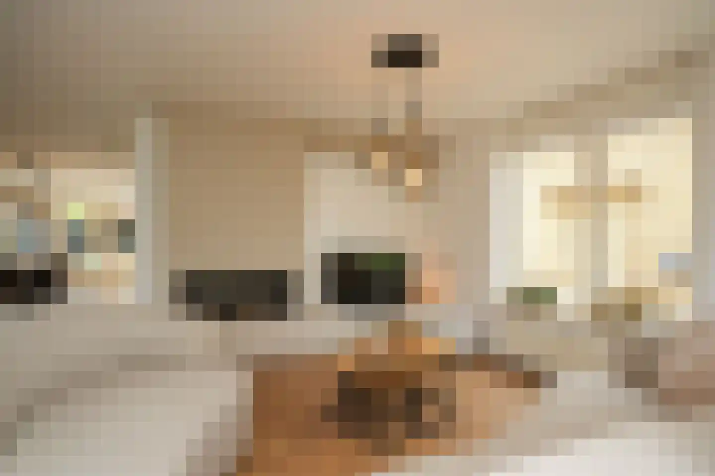De Bouwing 67 Geldermalsen thumbnail 5