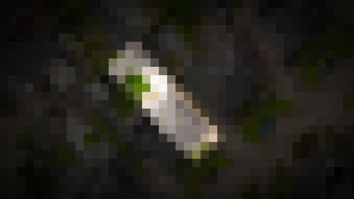De Bouwing 67 Geldermalsen thumbnail 53