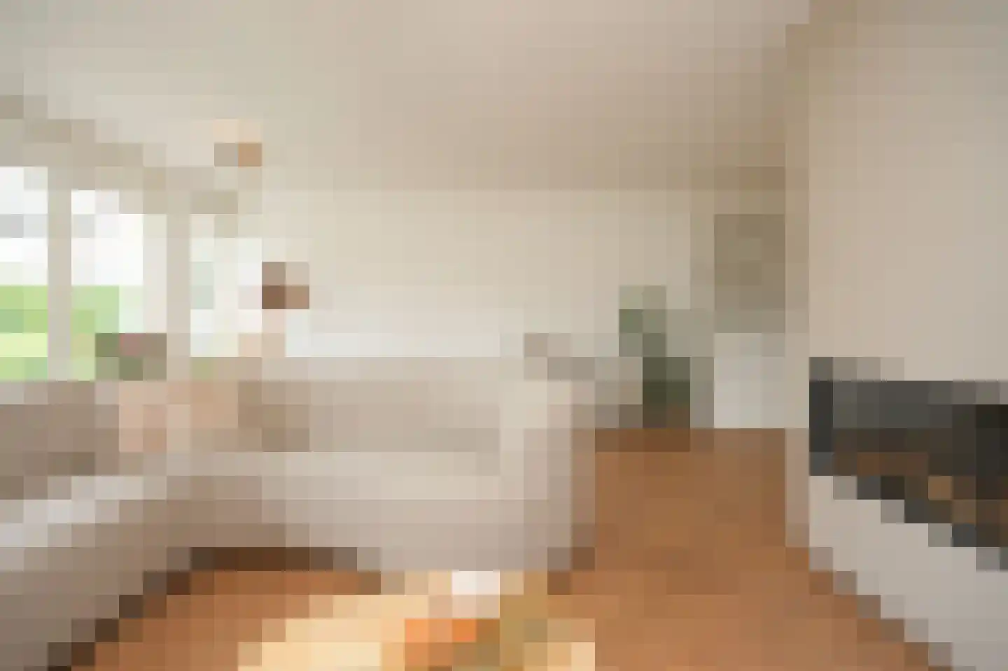 De Bouwing 67 Geldermalsen thumbnail 8