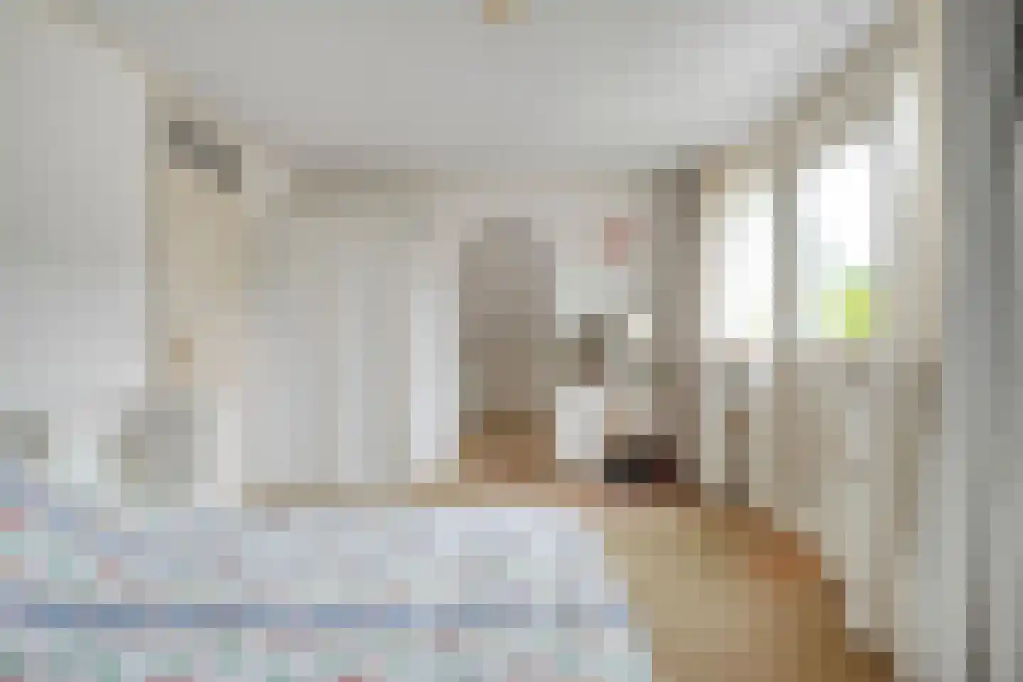De Bovenkruier 4 Balkbrug thumbnail 21
