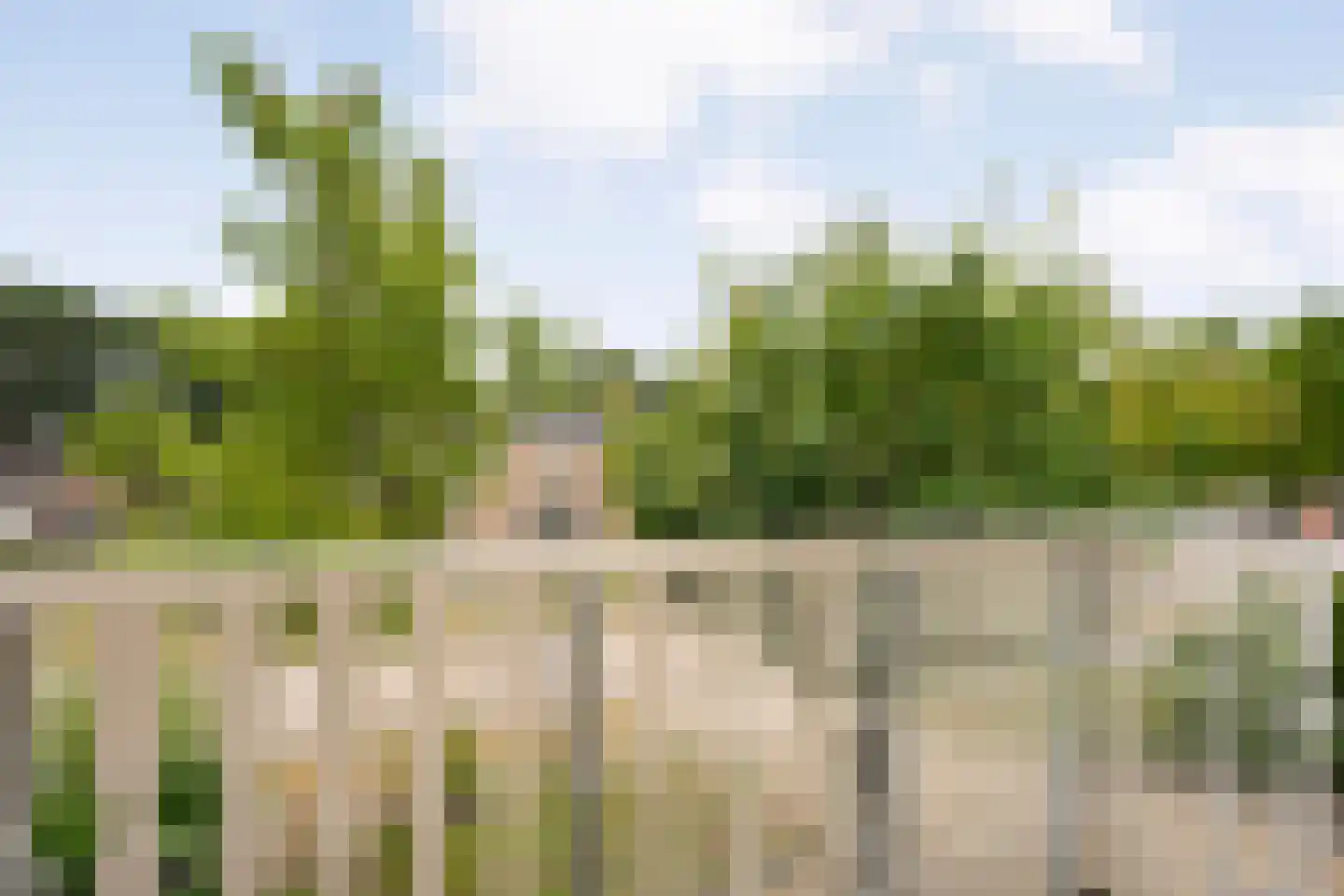 De Bovenkruier 4 Balkbrug thumbnail 23