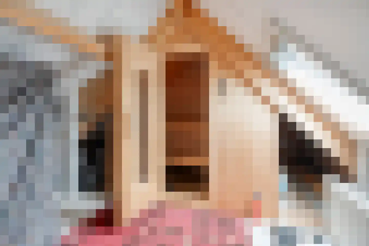 De Bovenkruier 4 Balkbrug thumbnail 38