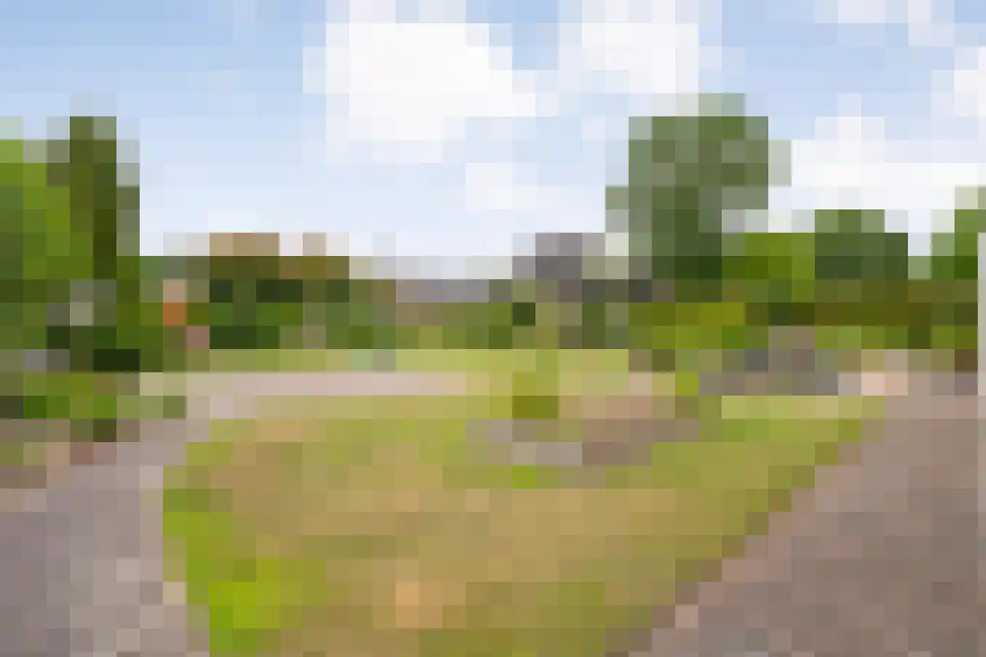 De Bovenkruier 4 Balkbrug thumbnail 39