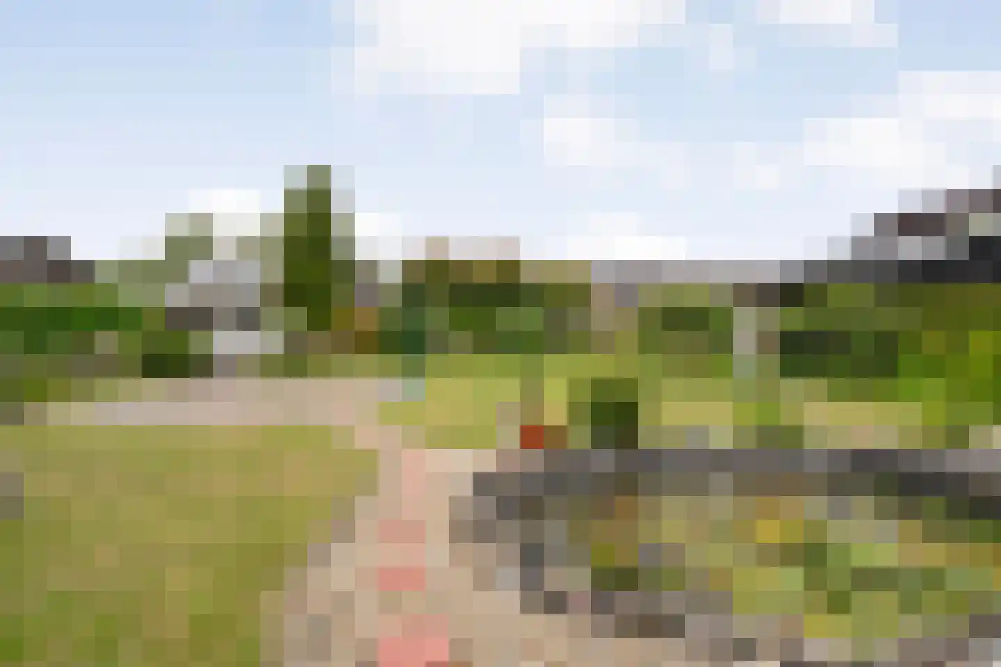 De Bovenkruier 4 Balkbrug thumbnail 40