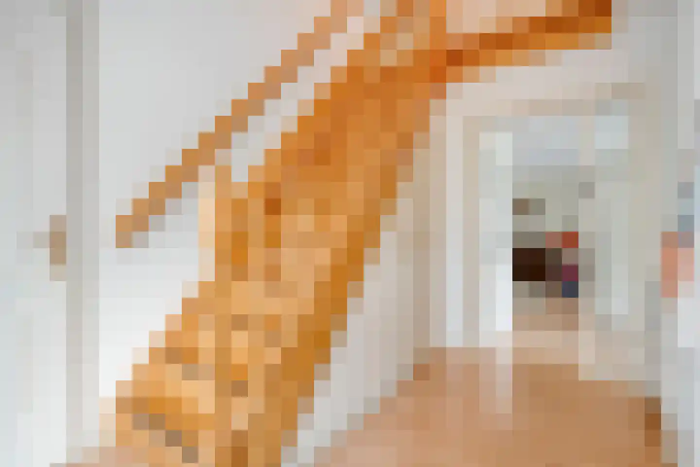 De Bovenkruier 4 Balkbrug thumbnail 6