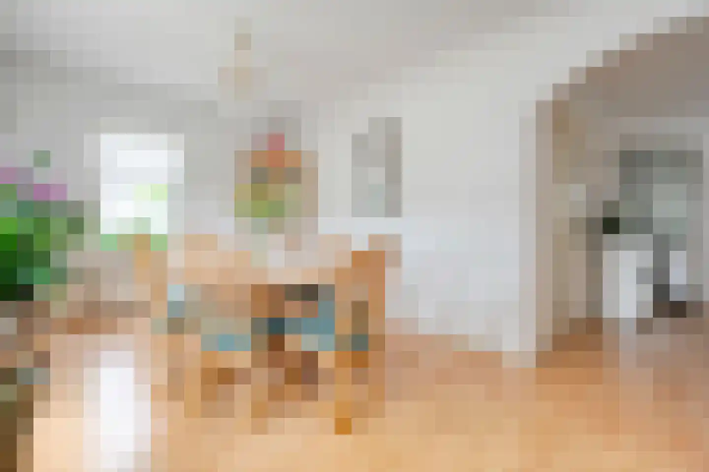 De Bovenkruier 4 Balkbrug thumbnail 8