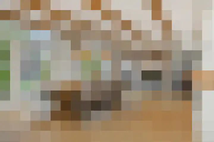 De Braackenlaan 16 Vught thumbnail 11