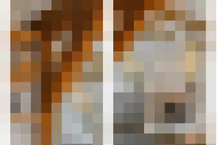 De Braackenlaan 16 Vught thumbnail 15