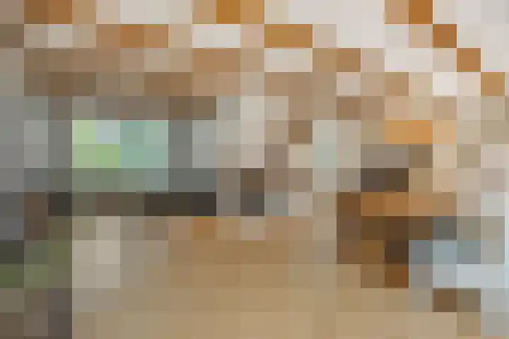 De Braackenlaan 16 Vught thumbnail 17