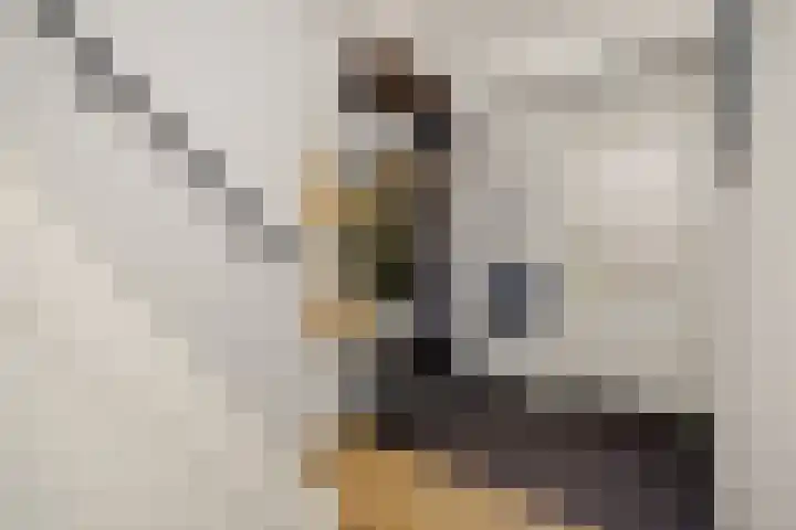 De Braackenlaan 16 Vught thumbnail 20
