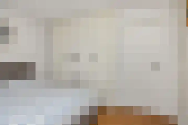 De Braackenlaan 16 Vught thumbnail 23