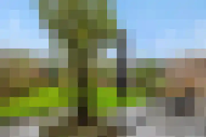 De Braackenlaan 16 Vught thumbnail 33