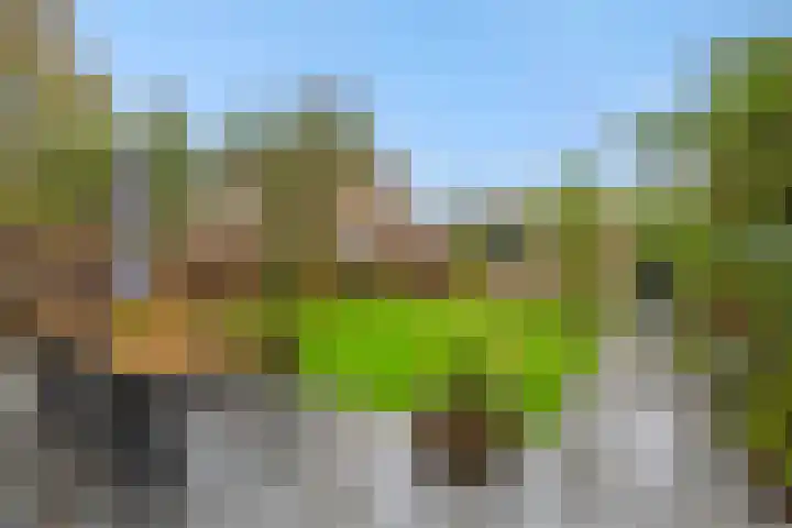 De Braackenlaan 16 Vught thumbnail 34