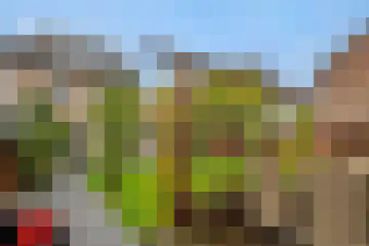 De Braackenlaan 16 Vught thumbnail 35