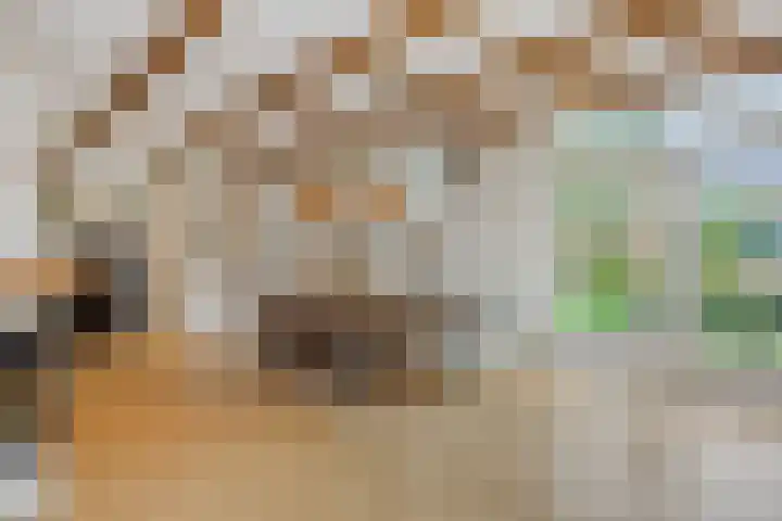 De Braackenlaan 16 Vught thumbnail 6