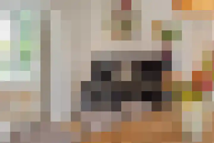 De Braackenlaan 16 Vught thumbnail 7