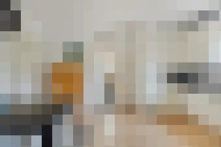 De Braak 11 Zevenbergen thumbnail 12
