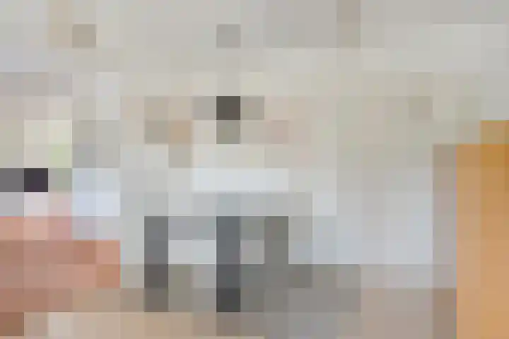 De Braak 11 Zevenbergen thumbnail 14