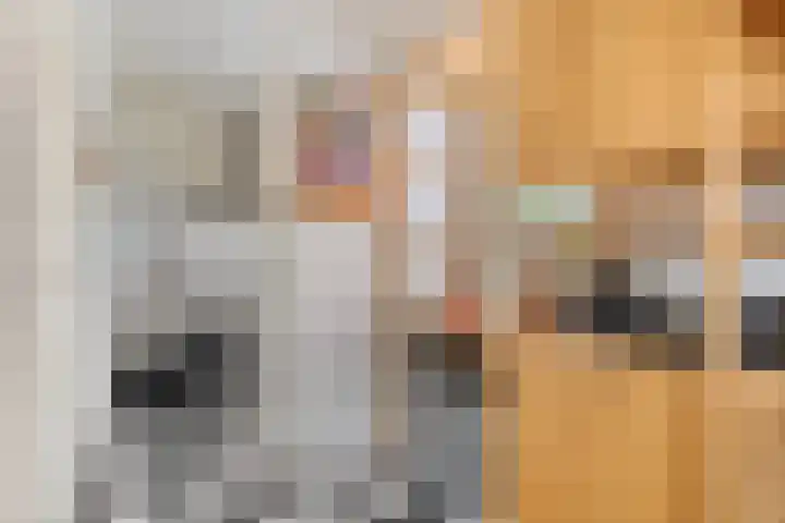 De Braak 11 Zevenbergen thumbnail 15