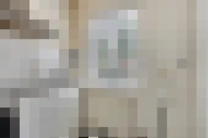 De Braak 11 Zevenbergen thumbnail 16