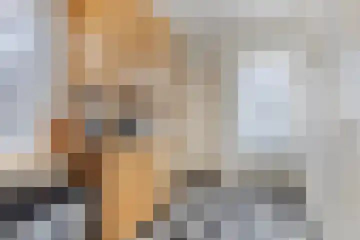 De Braak 11 Zevenbergen thumbnail 17