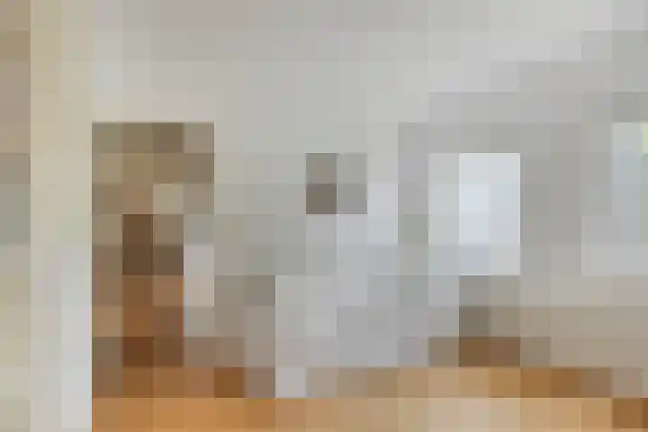 De Braak 11 Zevenbergen thumbnail 18