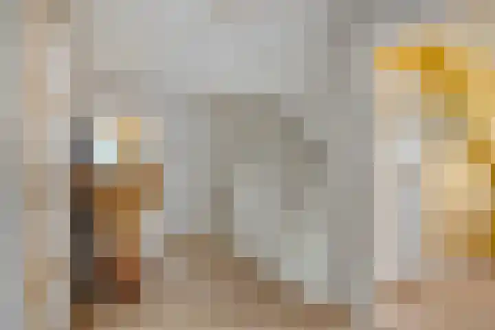 De Braak 11 Zevenbergen thumbnail 21