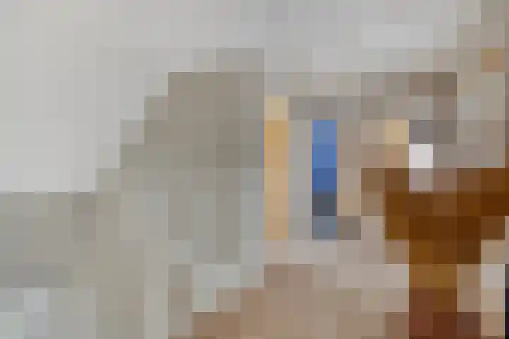 De Braak 11 Zevenbergen thumbnail 22
